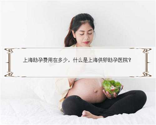 上海助孕费用在多少，什么是上海供卵助孕医院？