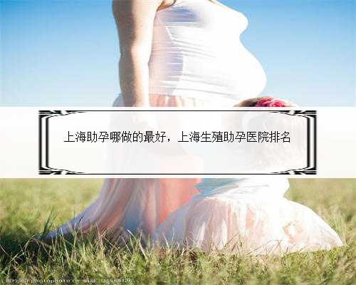 上海助孕哪做的最好，上海生殖助孕医院排名