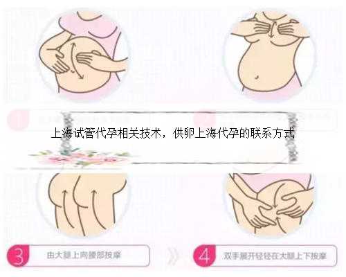 上海试管代孕相关技术，供卵上海代孕的联系方式