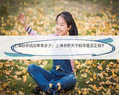 上海助孕成功率有多少，上海供卵天子助孕是否正规