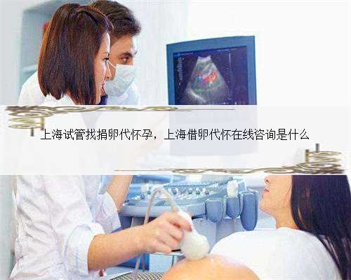 <strong>上海试管找捐卵代怀孕，上海借卵代怀在线咨询是什</strong>