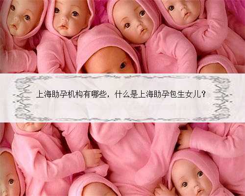 上海助孕机构有哪些，什么是上海助孕包生女儿？