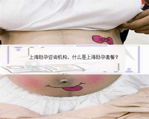 上海助孕咨询机构，什么是上海助孕套餐？
