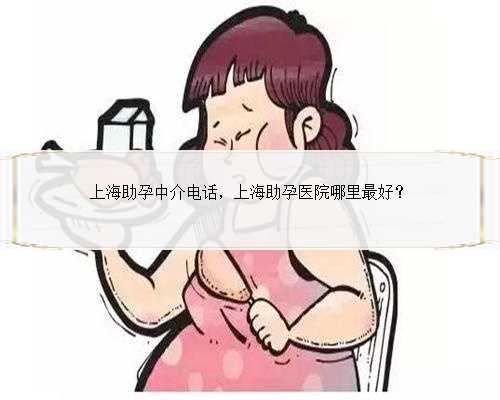 上海助孕中介电话，上海助孕医院哪里最好？