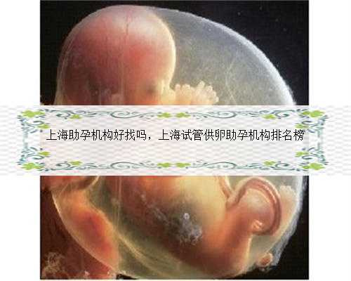 上海助孕机构好找吗，上海试管供卵助孕机构排名榜