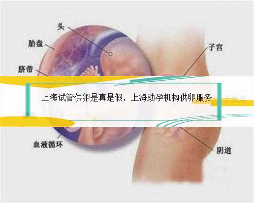 上海试管供卵是真是假，上海助孕机构供卵服务