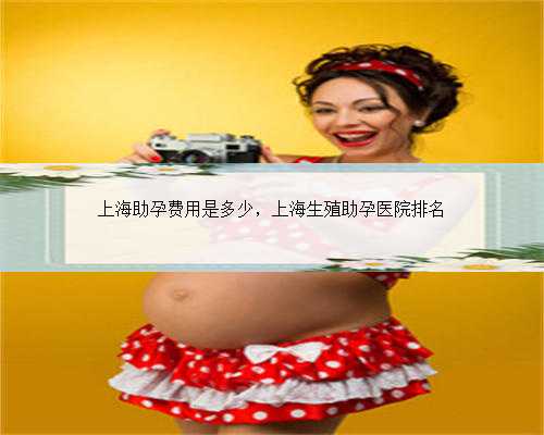 上海助孕费用是多少，上海生殖助孕医院排名