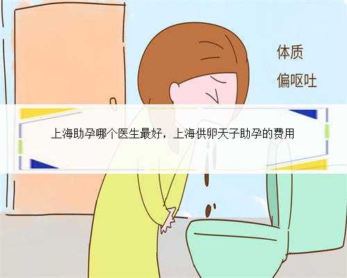 上海助孕哪个医生最好，上海供卵天子助孕的费用
