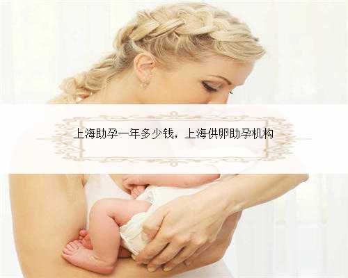 <strong>上海助孕一年多少钱，上海供卵助孕机构</strong>