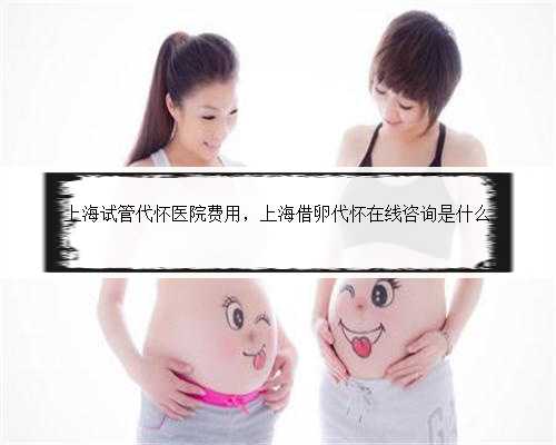 上海试管代怀医院费用，上海借卵代怀在线咨询是什