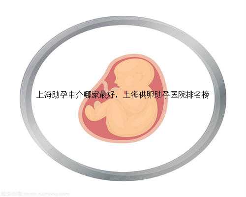 上海助孕中介哪家最好，上海供卵助孕医院排名榜