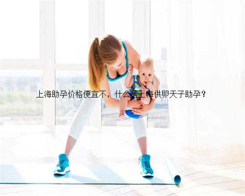 上海助孕价格便宜不，什么是上海供卵天子助孕？