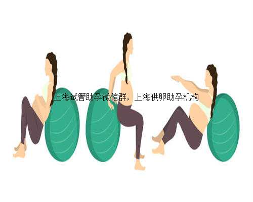 上海试管助孕微信群，上海供卵助孕机构