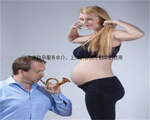 上海助孕服务中介，上海供卵天子助孕的费用