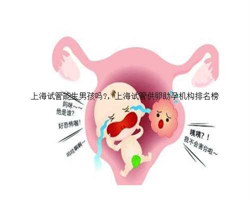 <b>上海试管能生男孩吗?，上海试管供卵助孕机构排名榜</b>