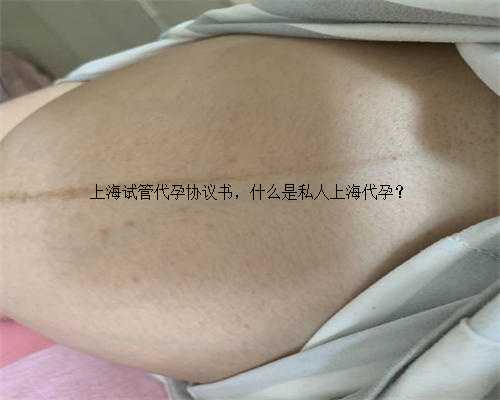 <b>上海试管代孕协议书，什么是私人上海代孕？</b>
