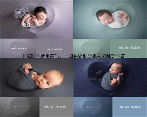 上海助孕费用高吗，上海供卵助孕机构的地理位置