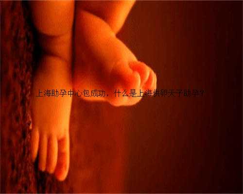 上海助孕中心包成功，什么是上海供卵天子助孕？