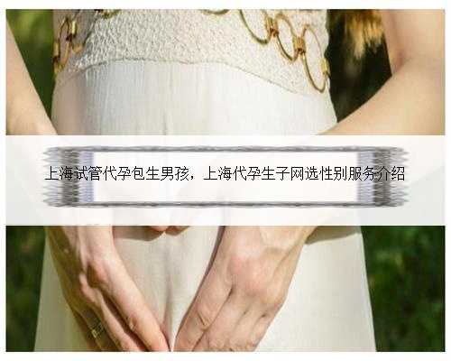 上海试管代孕包生男孩，上海代孕生子网选性别服务
