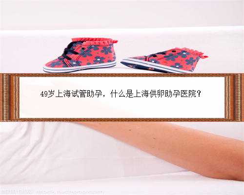 49岁上海试管助孕，什么是上海供卵助孕医院？