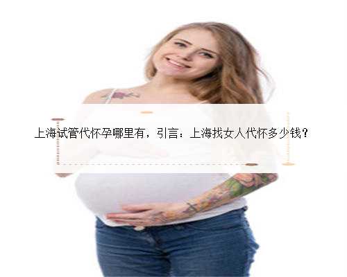 上海试管代怀孕哪里有，引言：上海找女人代怀多少钱？