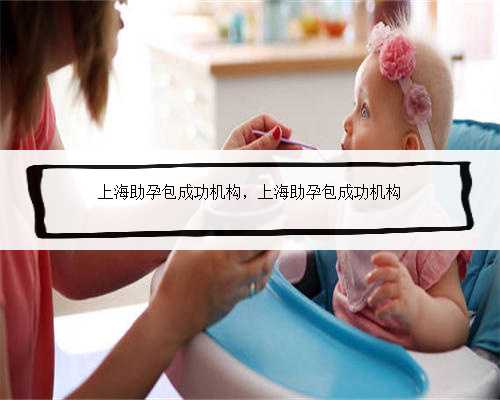 上海助孕包成功机构，上海助孕包成功机构
