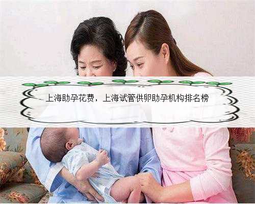 上海助孕花费，上海试管供卵助孕机构排名榜