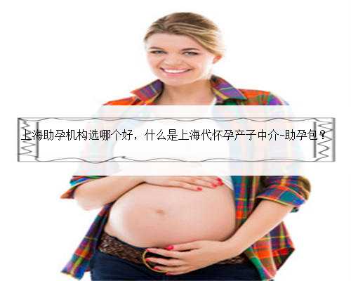 上海助孕机构选哪个好，什么是上海代怀孕产子中介-助孕包？