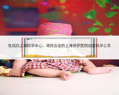 包成功上海助孕中心，寻找合法的上海供卵医院或者助孕公司