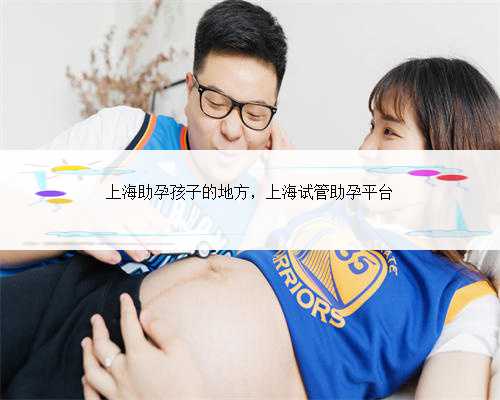 上海助孕孩子的地方，上海试管助孕平台