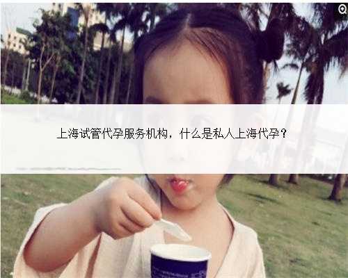上海试管代孕服务机构，什么是私人上海代孕？
