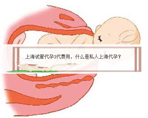 上海试管代孕3代费用，什么是私人上海代孕？