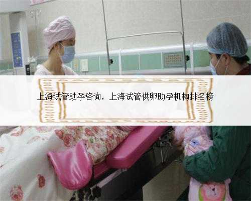 上海试管助孕咨询，上海试管供卵助孕机构排名榜