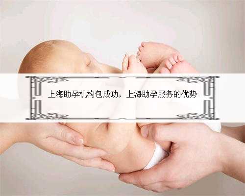 上海助孕机构包成功，上海助孕服务的优势