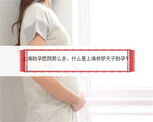 上海助孕医院那么多，什么是上海供卵天子助孕？