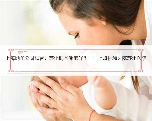 <strong>上海助孕公司试管，苏州助孕哪家好？——上海协和医院苏州医院</strong>