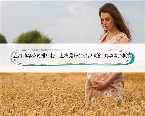 <b>上海助孕公司排行榜，上海最好的供卵试管-助孕中介机构</b>