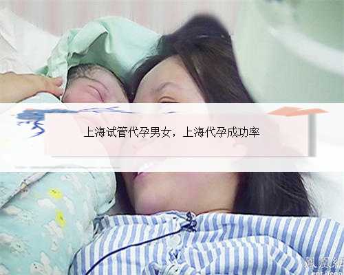 上海试管代孕男女，上海代孕成功率