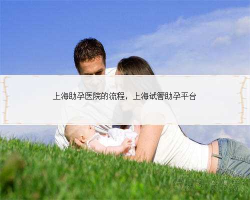 上海助孕医院的流程，上海试管助孕平台