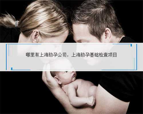 哪里有上海助孕公司，上海助孕基础检查项目