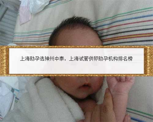 上海助孕选神州中泰，上海试管供卵助孕机构排名榜