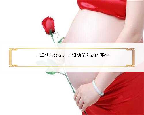上海助孕公司，上海助孕公司的存在