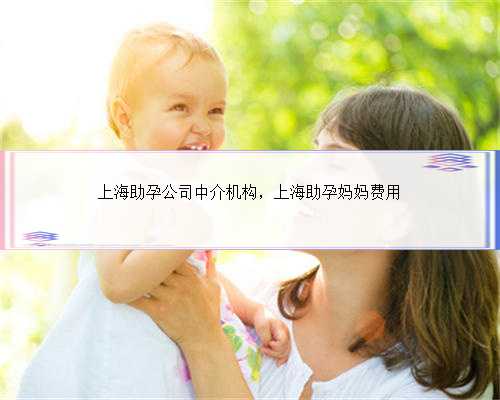 <strong>上海助孕公司中介机构，上海助孕妈妈费用</strong>