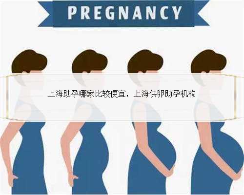 上海助孕哪家比较便宜，上海供卵助孕机构