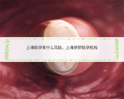 上海助孕有什么风险，上海供卵助孕机构