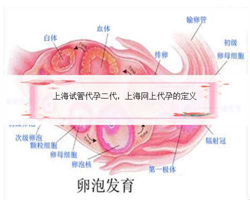 上海试管代孕二代，上海网上代孕的定义