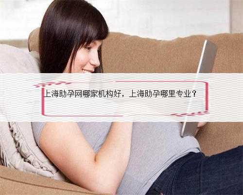 上海助孕网哪家机构好，上海助孕哪里专业？