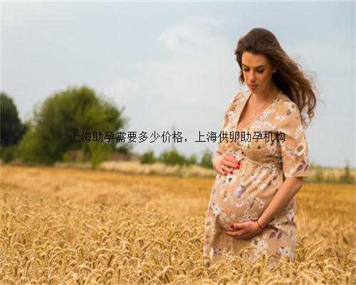 上海助孕需要多少价格，上海供卵助孕机构