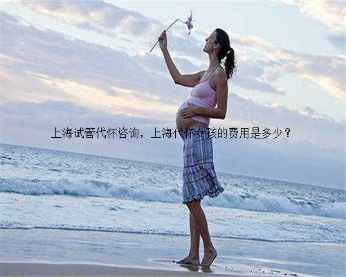 上海试管代怀咨询，上海代怀女孩的费用是多少？