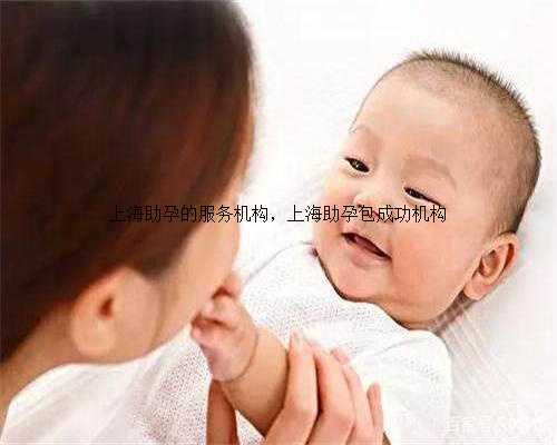 上海助孕的服务机构，上海助孕包成功机构